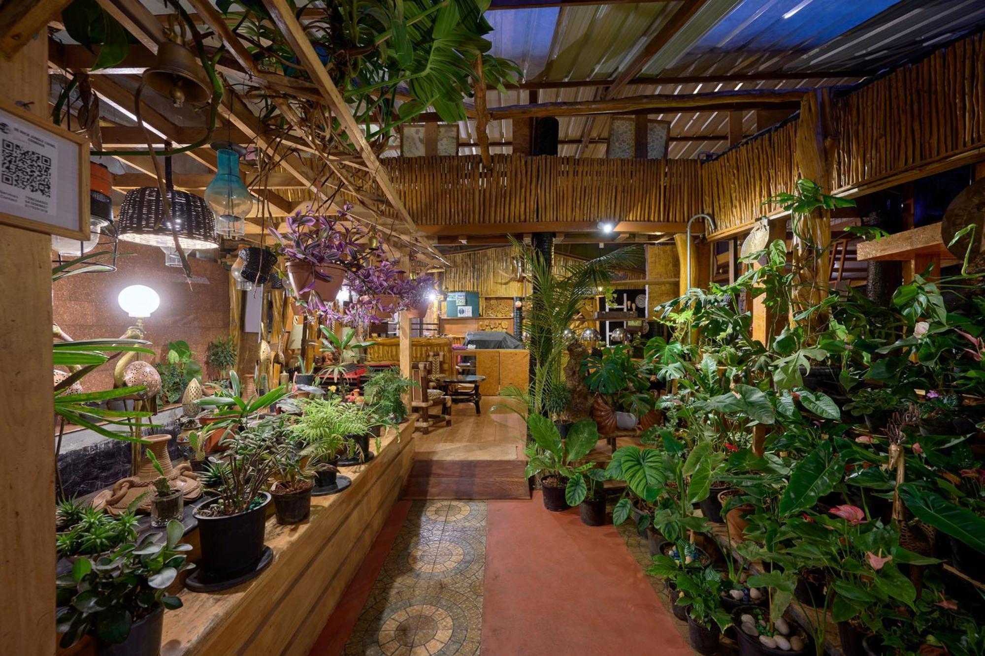De Rock Jungle Living Resort Кунур Экстерьер фото